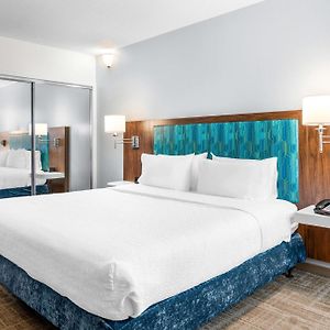 Suite à 1 Chambre à Coucher Lit King-Size